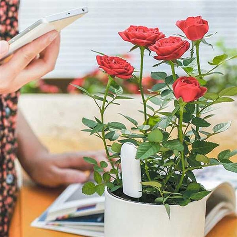 Plant Sensor - ABVG-Flora Akıllı Çiçek Monitörü, Bahçe Bakım