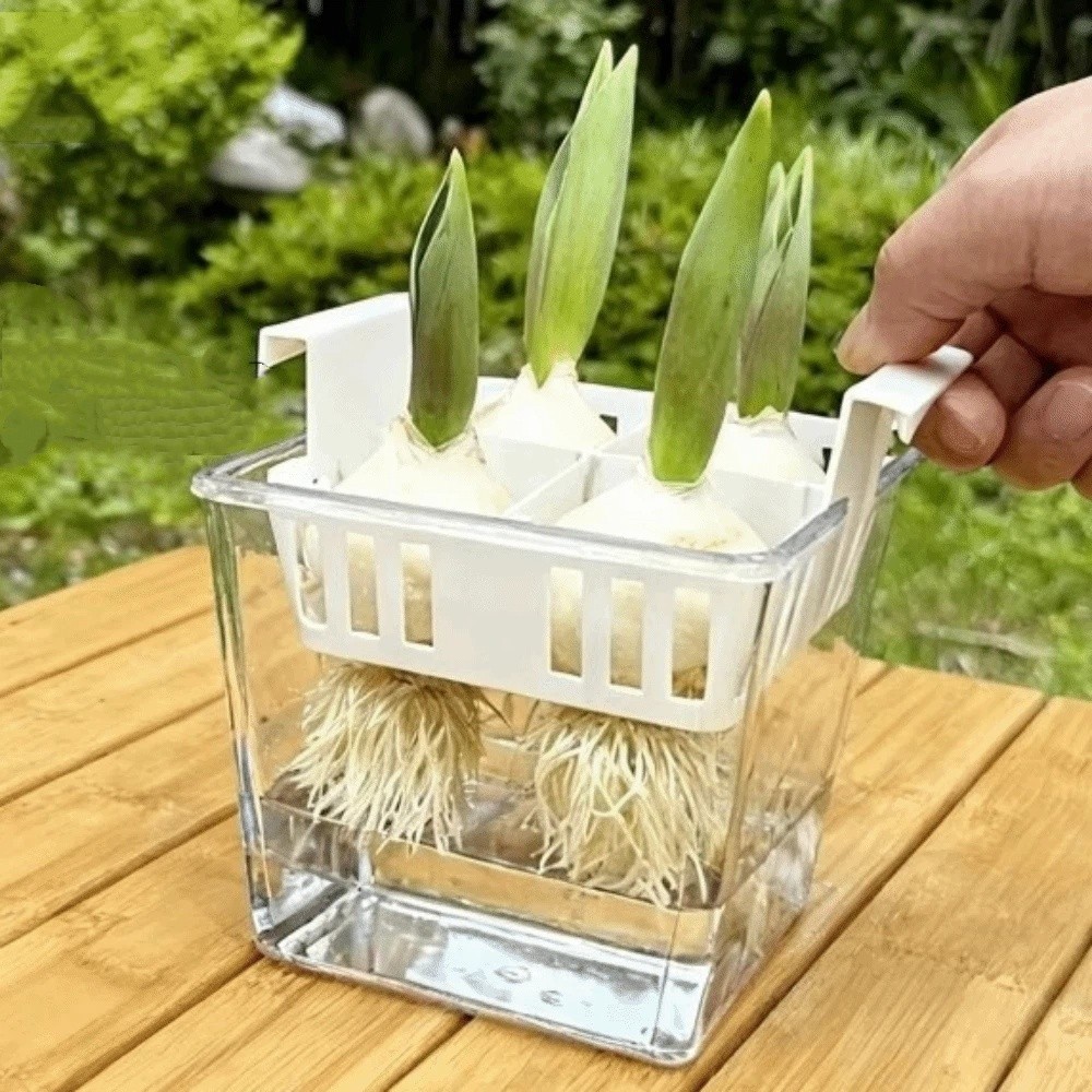 4 Bölmeli Hidroponik Fidanlık  - Hydroponic Grow Pod incelemesi ve fiyatı
