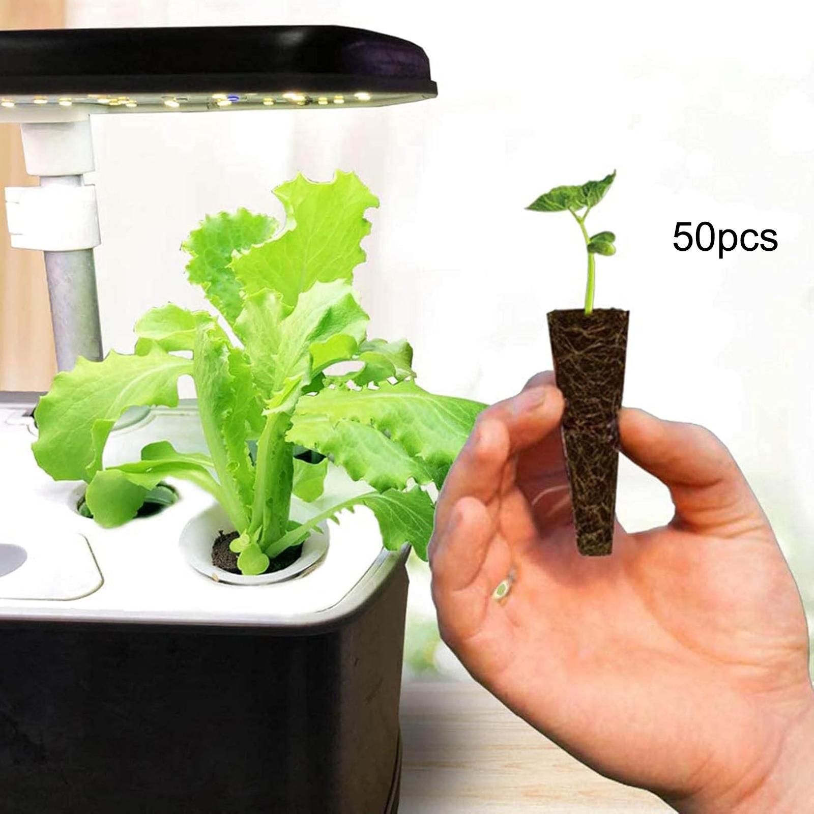 50 Adet Bitki Yetiştirme Sünge - Hydroponic Grow Pod incelemesi ve fiyatı