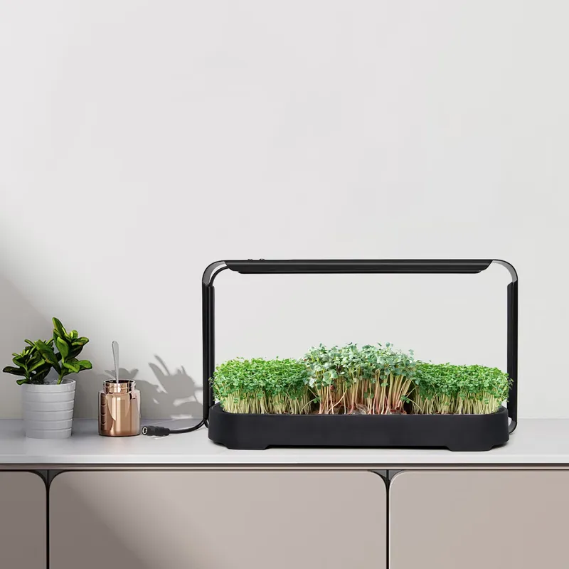Mikro yeşillikler için kendi k - Self Watering Planter incelemesi ve fiyatı