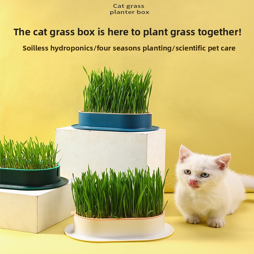 Evcil Hayvan Malzemeleri Kedi  - Hydroponic Grow Pod incelemesi ve fiyatı