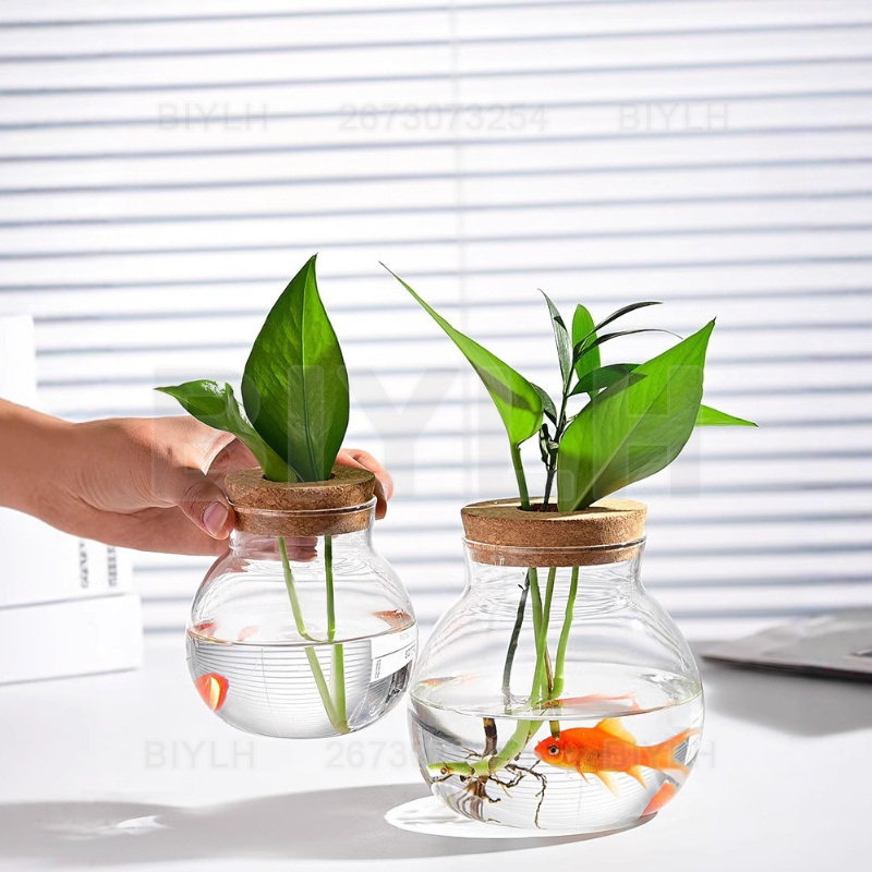Hidroponik Bitki Cam Vazo Mant - Hydroponic Grow Pod incelemesi ve fiyatı
