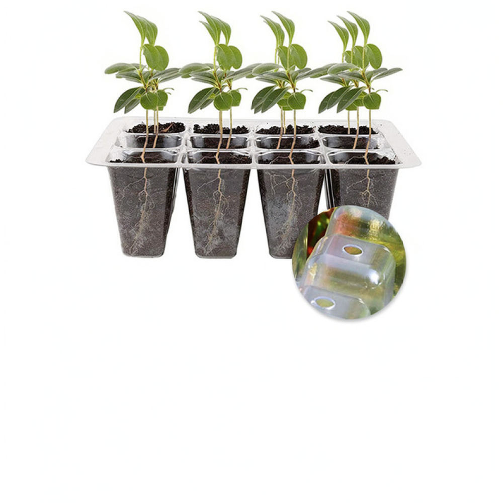 Bitki Yetiştirme Işığı Başlang - Indoor Garden Kit incelemesi ve fiyatı