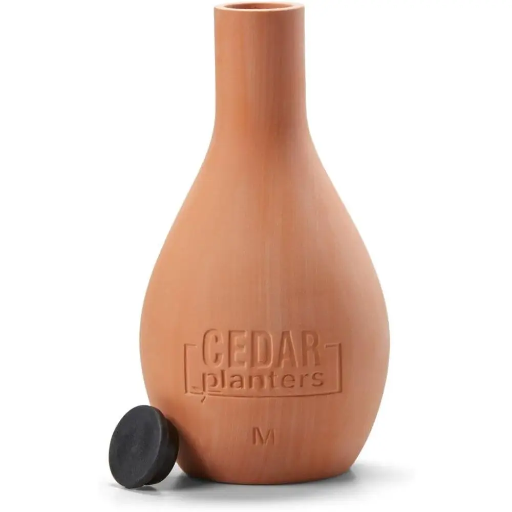 Kendiliğinden Sulanan Seramik  - Self Watering Planter incelemesi ve fiyatı