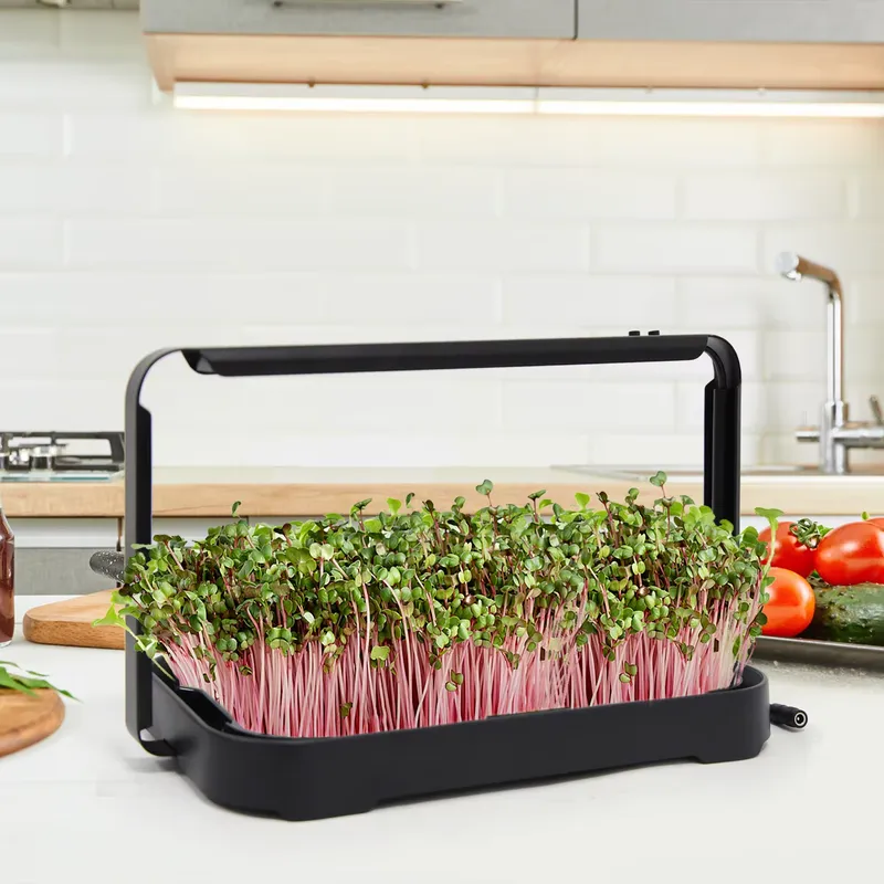 Hidroponik Tepsi İç Mekan Mikr - Smart Garden Kit incelemesi ve fiyatı
