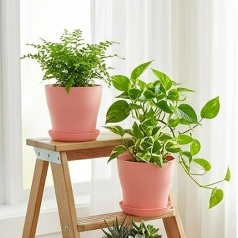 Drenaj Delikli ve Uyumlu Tepsi - Indoor Garden Kit incelemesi ve fiyatı