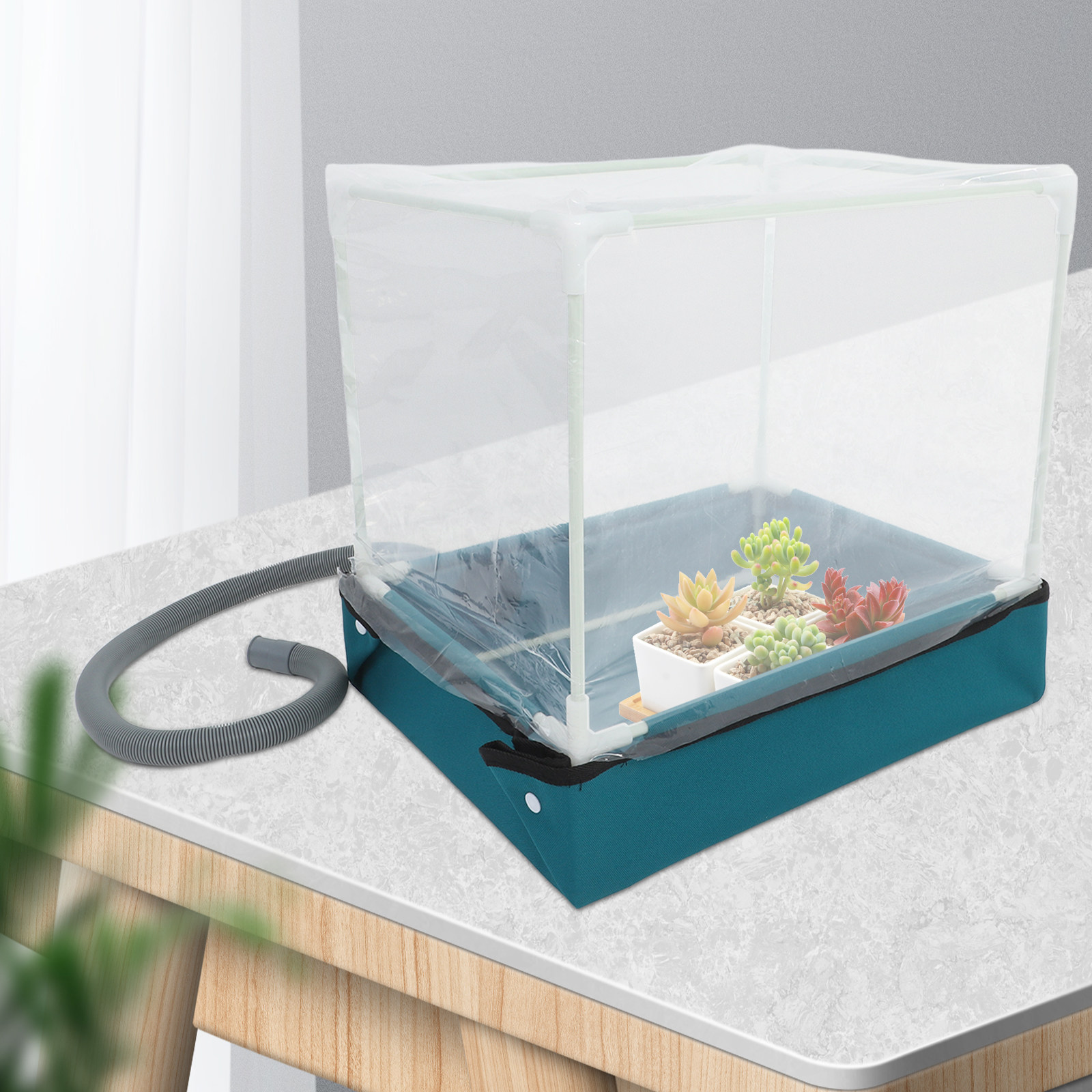 Küçük Boy İç Mekan Sukulent Se - Indoor Garden Kit incelemesi ve fiyatı