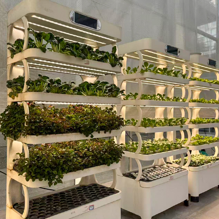 Akıllı İç Mekan Bahçe Saksısı  - Grow Light Led incelemesi ve fiyatı