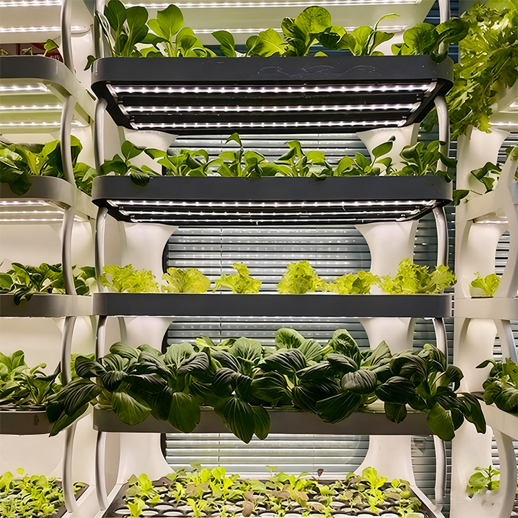 Akıllı İç Mekan Bahçe Saksısı  - Grow Light Led incelemesi ve fiyatı